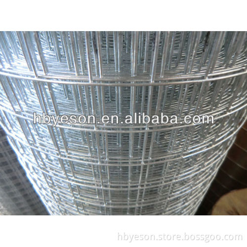 food sieving Mesh/PVC coated construction screen/PVC wire mesh
